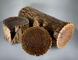 Logs.4