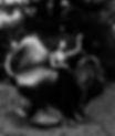 _D8A1881e (1).jpg