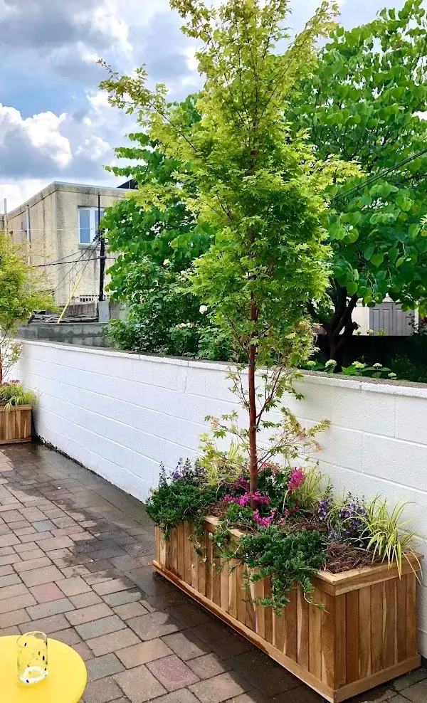 teak planter box with small tree and flowers 
