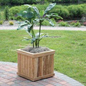 Square wooden planter with plant, brick patio, and green grass Diamond Tropical Hardwoods