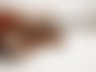 Best Exotic Wood for Guitars