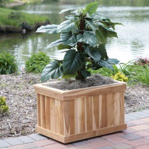 teak tree planter box with small tree 