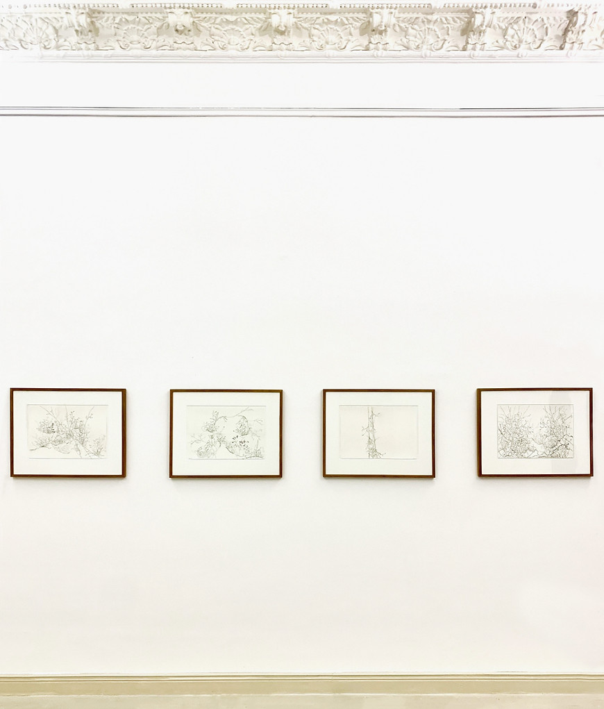 Exhibition View_Euna Gu_ Tales of Lines_ Galerie Dittar_2022_ Nature Fantasia-v3.jpg