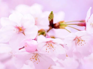 2020年度が始まりました！