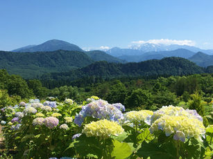 そろそろ行きたい阿賀町ハーバルパーク