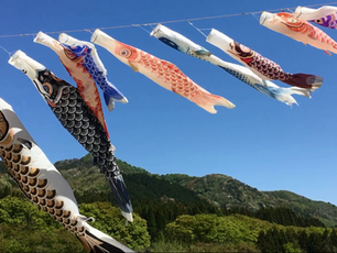 🍀5月になりました