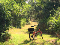 自転車で超ゆっくり近所ツーリング