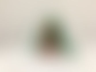 アマビエ No.4: アマビエV3誕生