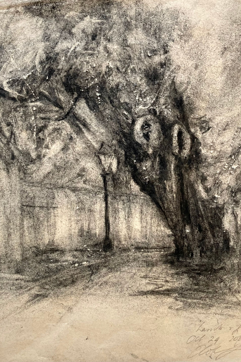 Thumbnail: Resurgence: Oaks at Wytham