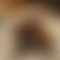 The fantastic RC chocolate bar. Photo: Ilay Avni