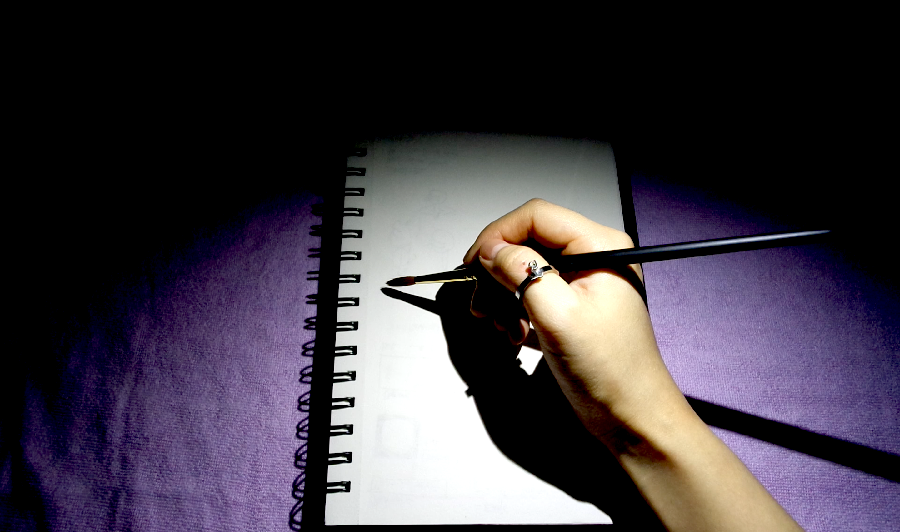 Writer: Paint in Hiding