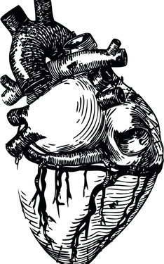 HTC_Heritage Library_HealthcareElement 9.png