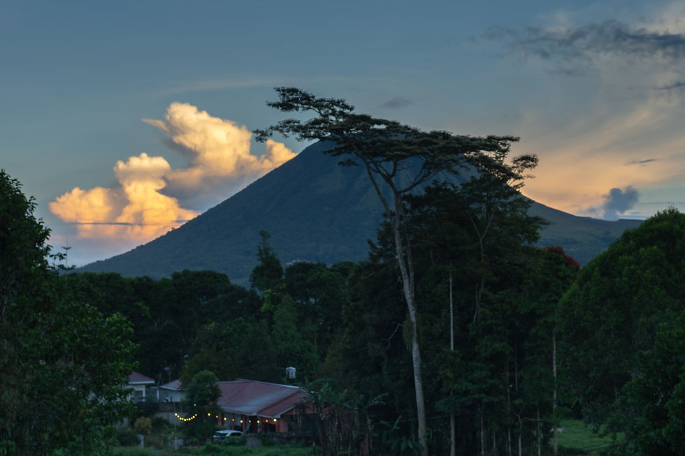 SULAWESI