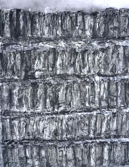 Peindre une bibliothèque VIII - 65 x 50 cm - 2016