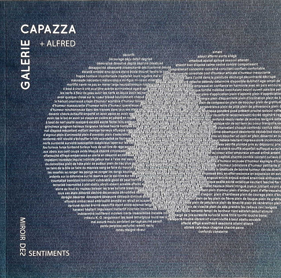 11- Miroir des sentiments Editions capazza 2018.jpg