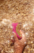 SONA™ Cruise - clitorally mindblowing.jpeg