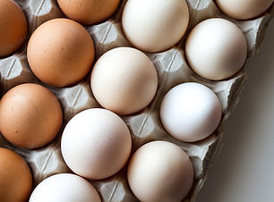 egg-white-gbcfa1af44_1920.jpg
