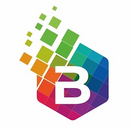 BILLIONZ COMPANY LLC