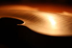 001 IMG_0423