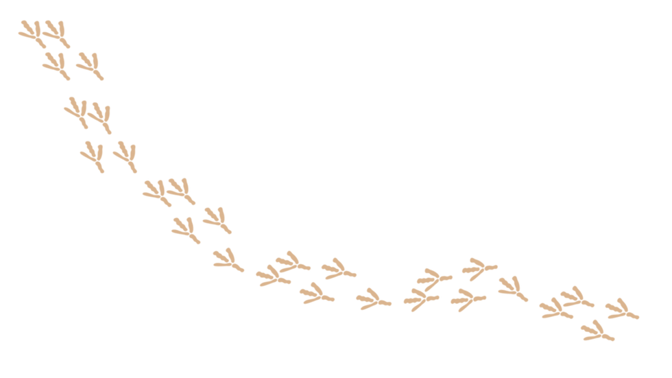 Blue Minimalist Business Pitch Deck Presentation(3).png