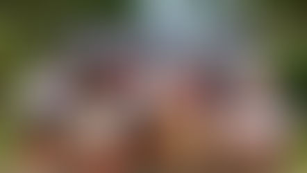 Confraternização do Colégio Universitário reúne colaboradores e familiares em um dia especial