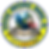 logo aim.png