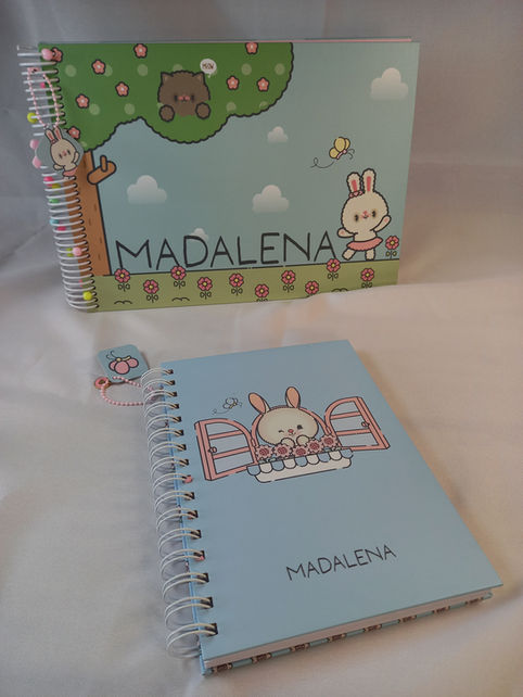 Cad.Des.Madalena (1)