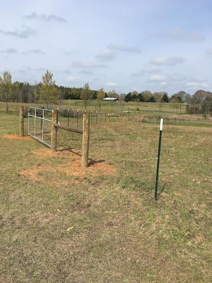 89940183_1558470737643132_6704181079877615616_n