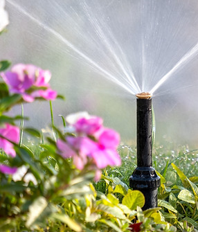 Plastic sprinkler irrigating flower bed on grass lawn with water in summer garden. Waterin