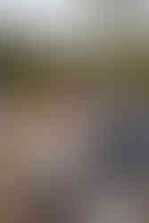 couple photo during family photo session. couple is laughing at the grounds at the Felt Estate. Michigan wedding photographer.