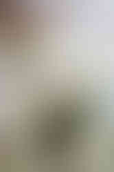 Close up of florals by northern michigan florist, Thyme Hill Floral