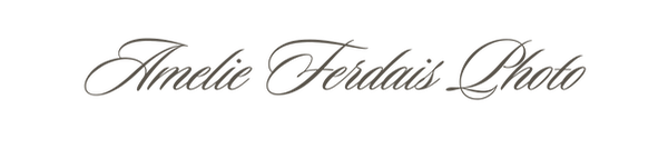 Amelie Ferdais Photo Logo. Grand Rapids and Detroit Photography, working at the most beautiful, modern venues in Michigan. Wedding Inspiration featuring real wedding photos.