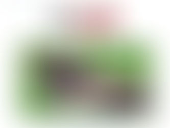 Silent e - all of our students can read & spell even words they have not seen: we are the EXPERT!