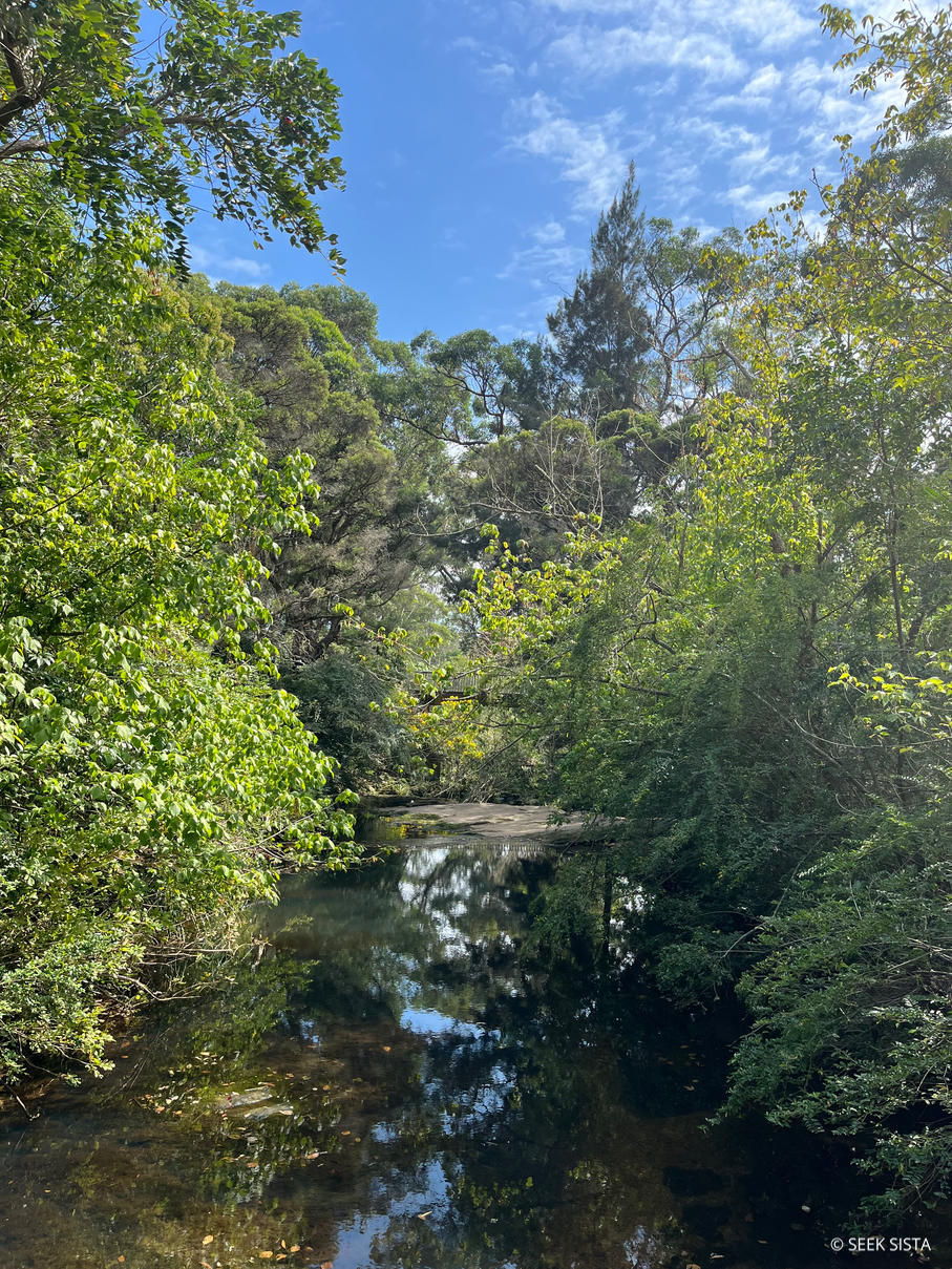 Castle Hill Trail (Walk)