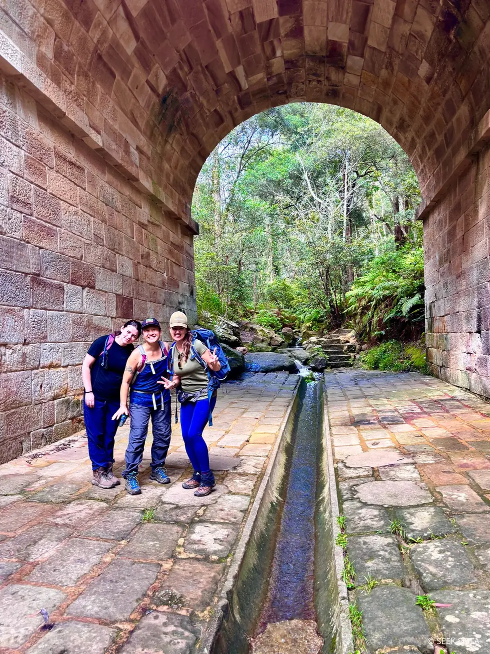 Lennox Bridge via Knapsack Reserve (Half Day)