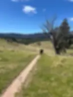 Six Foot Track Weekend Getaway