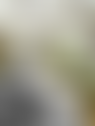 Forest bathing: a gentle way to slow down in nature