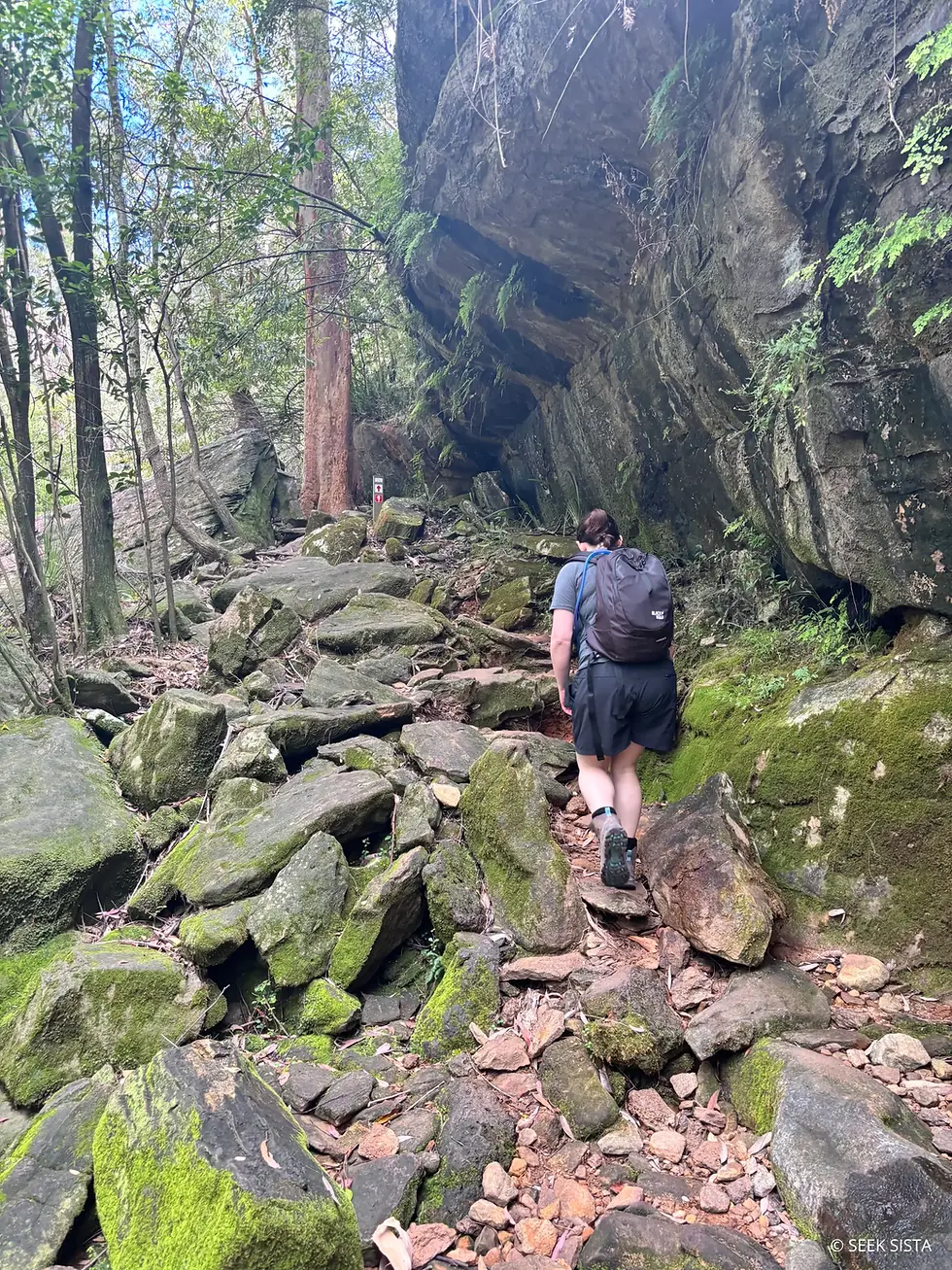 Lane Cove Riverside (Half Day)