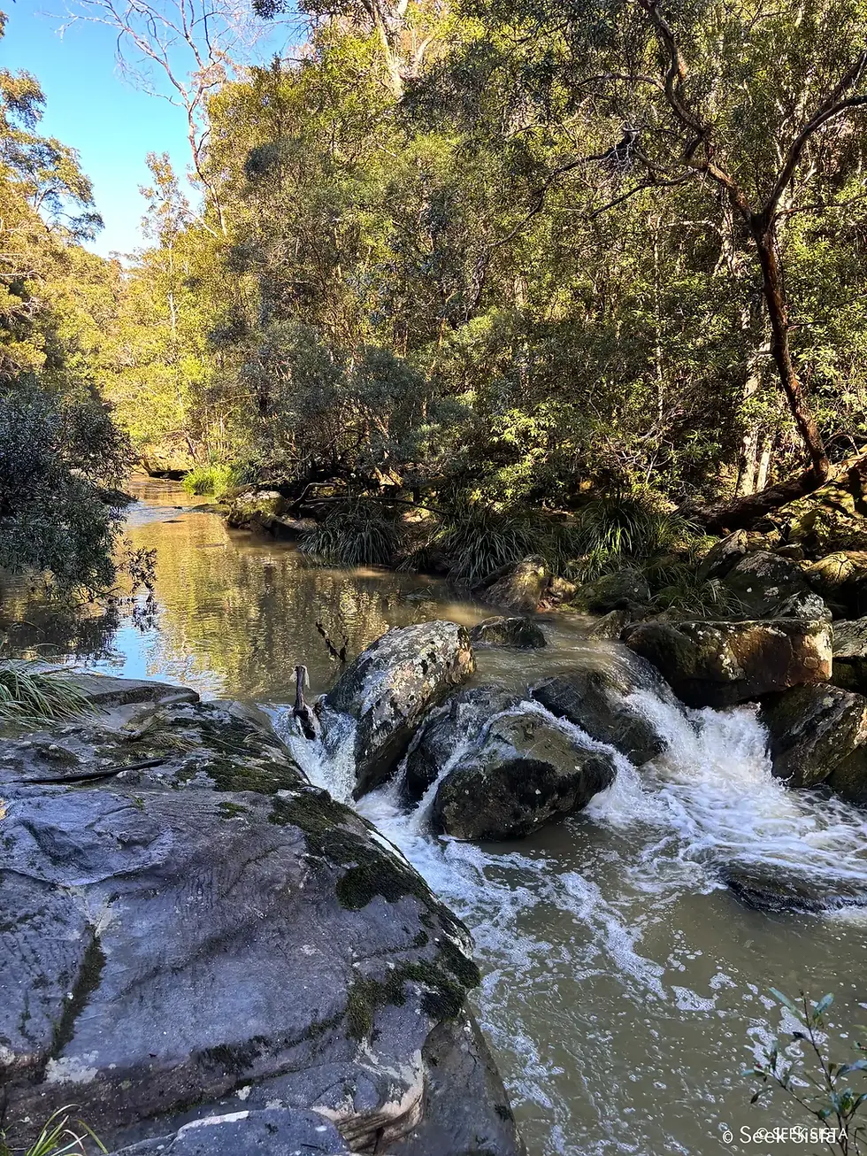 Gibberagong Track & Bobbin Head Hike