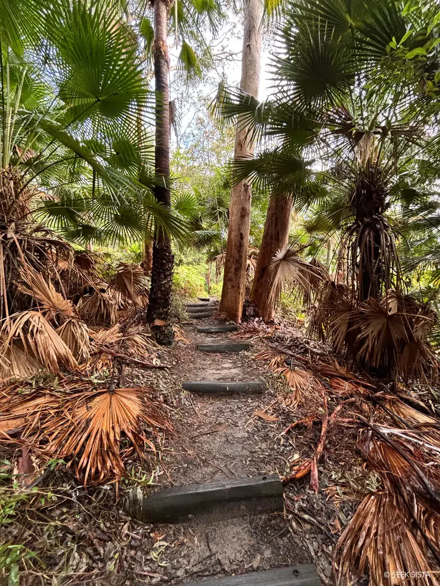 Angophora Reserve + Gutsy Girl Movie Evening