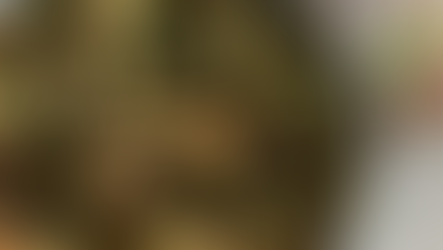 Rosemary Balsamic Brussels Sprouts