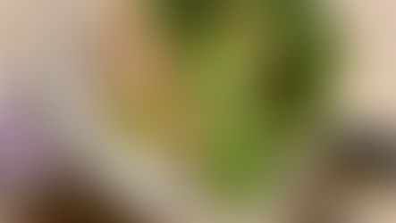 Breaded Spiedie Chicken Breasts 