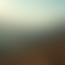 The Impact of Drones on Filmmaking