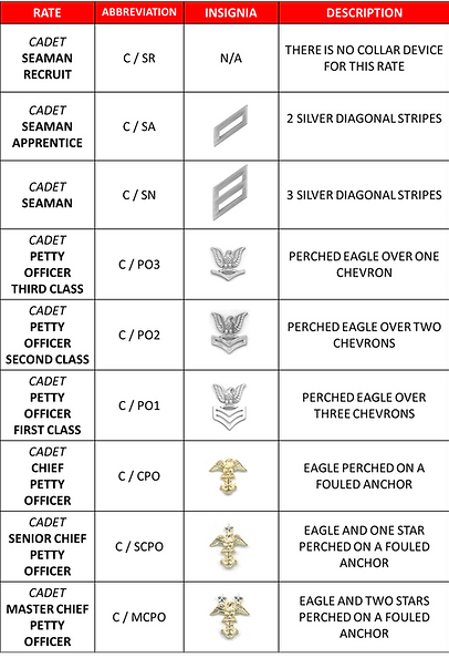 Navy Rac Chart Navy Rates & Ranks | Njrotc