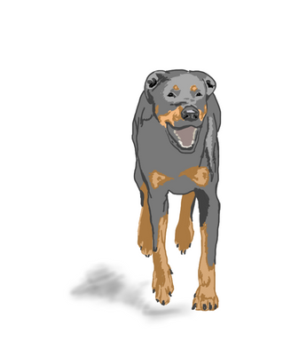 How to Meet Other Dogs on Your Runs - Dog’s Body Language