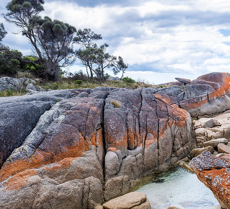 Tasmania