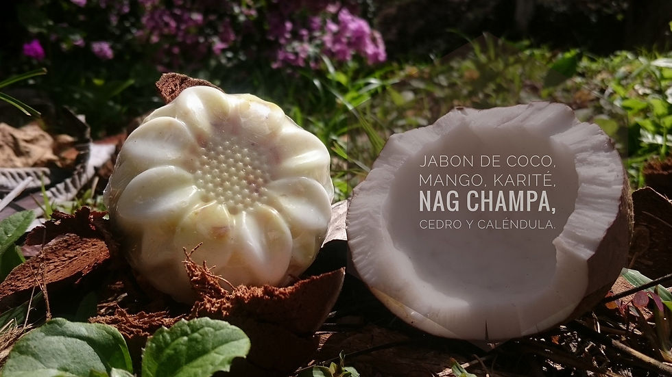 Miniatura: Jabones Naturales