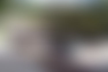 Attentats Paris : Déclaration des délégué-e-s