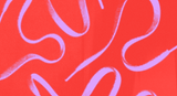 expo-packet-bg.png
