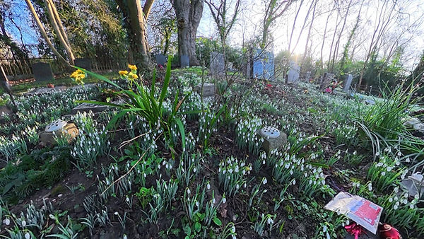 WhatsApp Image 2026-01-29 at 05.30.15.jpeg